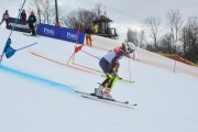 FIS Baltijas kauss 2.posms, FIS paralēlais slaloms, Foto: E.Lukšo