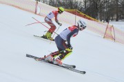 FIS Baltijas kauss 2.posms, FIS paralēlais slaloms, Foto: E.Lukšo