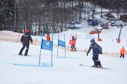 FIS Baltijas kauss 2.posms, FIS paralēlais slaloms, Foto: E.Lukšo