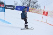 FIS Baltijas kauss 2.posms, FIS paralēlais slaloms, Foto: E.Lukšo