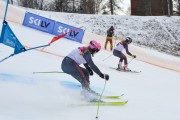 FIS Baltijas kauss 2.posms, FIS paralēlais slaloms, Foto: E.Lukšo