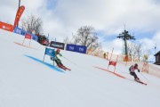 FIS Baltijas kauss 2.posms, FIS paralēlais slaloms, Foto: E.Lukšo