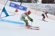 FIS Baltijas kauss 2.posms, FIS paralēlais slaloms, Foto: E.Lukšo