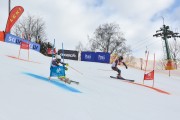 FIS Baltijas kauss 2.posms, FIS paralēlais slaloms, Foto: E.Lukšo