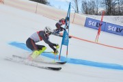 FIS Baltijas kauss 2.posms, FIS paralēlais slaloms, Foto: E.Lukšo