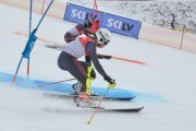 FIS Baltijas kauss 2.posms, FIS paralēlais slaloms, Foto: E.Lukšo