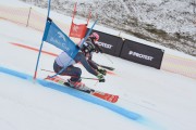 FIS Baltijas kauss 2.posms, FIS paralēlais slaloms, Foto: E.Lukšo