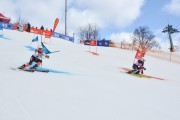 FIS Baltijas kauss 2.posms, FIS paralēlais slaloms, Foto: E.Lukšo