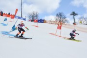 FIS Baltijas kauss 2.posms, FIS paralēlais slaloms, Foto: E.Lukšo