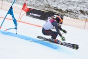 FIS Baltijas kauss 2.posms, FIS paralēlais slaloms, Foto: E.Lukšo