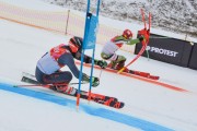 FIS Baltijas kauss 2.posms, FIS paralēlais slaloms, Foto: E.Lukšo