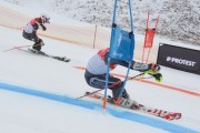 FIS Baltijas kauss 2.posms, FIS paralēlais slaloms, Foto: E.Lukšo