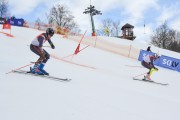 FIS Baltijas kauss 2.posms, FIS paralēlais slaloms, Foto: E.Lukšo