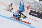 FIS Baltijas kauss 2.posms, FIS paralēlais slaloms, Foto: E.Lukšo