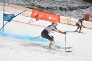 FIS Baltijas kauss 2.posms, FIS paralēlais slaloms, Foto: E.Lukšo