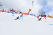 FIS Baltijas kauss 2.posms, FIS paralēlais slaloms, Foto: E.Lukšo