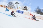 FIS Baltijas kauss 2.posms, FIS paralēlais slaloms, Foto: E.Lukšo