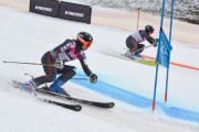 FIS Baltijas kauss 2.posms, FIS paralēlais slaloms, Foto: E.Lukšo