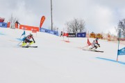 FIS Baltijas kauss 2.posms, FIS paralēlais slaloms, Foto: E.Lukšo