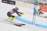 FIS Baltijas kauss 2.posms, FIS paralēlais slaloms, Foto: E.Lukšo