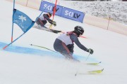 FIS Baltijas kauss 2.posms, FIS paralēlais slaloms, Foto: E.Lukšo