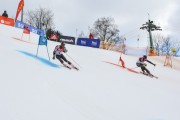 FIS Baltijas kauss 2.posms, FIS paralēlais slaloms, Foto: E.Lukšo