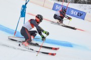 FIS Baltijas kauss 2.posms, FIS paralēlais slaloms, Foto: E.Lukšo