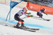 FIS Baltijas kauss 2.posms, FIS paralēlais slaloms, Foto: E.Lukšo