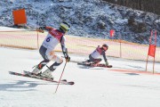 FIS Baltijas kauss 2.posms, FIS paralēlais slaloms, Foto: E.Lukšo