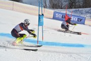 FIS Baltijas kauss 2.posms, FIS paralēlais slaloms, Foto: E.Lukšo