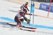 FIS Baltijas kauss 2.posms, FIS paralēlais slaloms, Foto: E.Lukšo