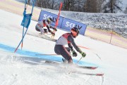 FIS Baltijas kauss 2.posms, FIS paralēlais slaloms, Foto: E.Lukšo