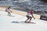 FIS Baltijas kauss 2.posms, FIS paralēlais slaloms, Foto: E.Lukšo