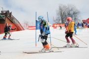 FIS Baltijas kauss 2.posms, jauniešu un meistaru GS, Foto: E.Lukšo