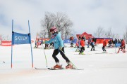 FIS Baltijas kauss 2.posms, jauniešu un meistaru GS, Foto: E.Lukšo