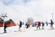 FIS Baltijas kauss 2.posms, jauniešu un meistaru GS, Foto: E.Lukšo