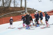 FIS Baltijas kauss 2.posms, jauniešu un meistaru GS, Foto: E.Lukšo