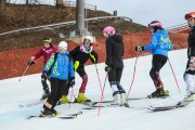 FIS Baltijas kauss 2.posms, jauniešu un meistaru GS, Foto: E.Lukšo