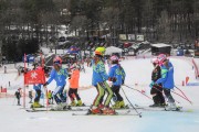 FIS Baltijas kauss 2.posms, jauniešu un meistaru GS, Foto: E.Lukšo