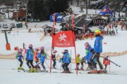 FIS Baltijas kauss 2.posms, jauniešu un meistaru GS, Foto: E.Lukšo