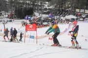 FIS Baltijas kauss 2.posms, jauniešu un meistaru GS, Foto: E.Lukšo