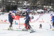 FIS Baltijas kauss 2.posms, jauniešu un meistaru GS, Foto: E.Lukšo