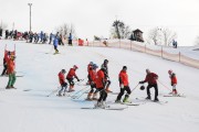 FIS Baltijas kauss 2.posms, jauniešu un meistaru GS, Foto: E.Lukšo