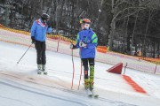 FIS Baltijas kauss 2.posms, jauniešu un meistaru GS, Foto: E.Lukšo