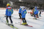 FIS Baltijas kauss 2.posms, jauniešu un meistaru GS, Foto: E.Lukšo