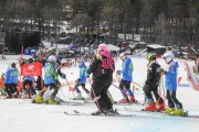 FIS Baltijas kauss 2.posms, jauniešu un meistaru GS, Foto: E.Lukšo