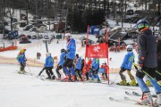 FIS Baltijas kauss 2.posms, jauniešu un meistaru GS, Foto: E.Lukšo