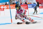 FIS Baltijas kauss 2.posms, jauniešu un meistaru GS, Foto: E.Lukšo