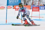 FIS Baltijas kauss 2.posms, jauniešu un meistaru GS, Foto: E.Lukšo