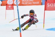 FIS Baltijas kauss 2.posms, jauniešu un meistaru GS, Foto: E.Lukšo